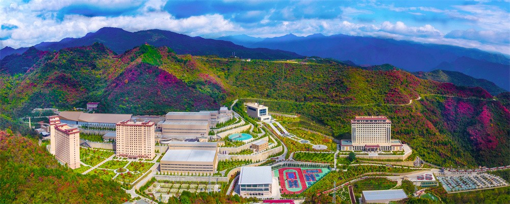 202412281735369171479878.jpg 17.jpg